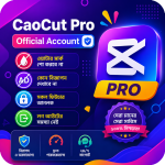 CapCut Premium